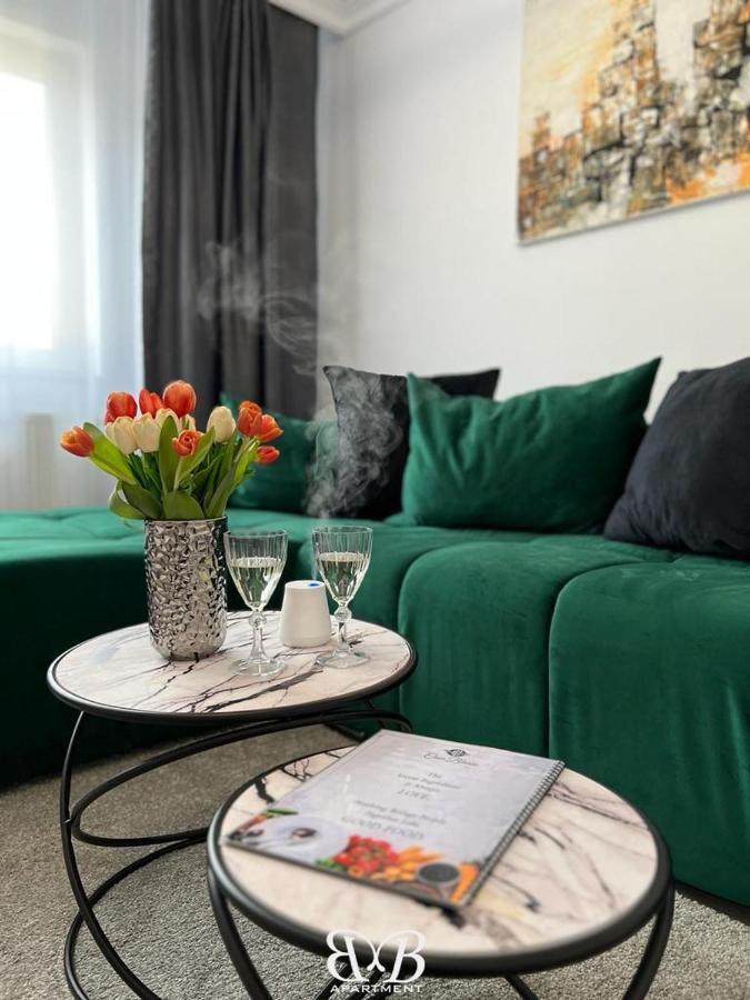 Apartment B&B Apartment Otelu Rosu