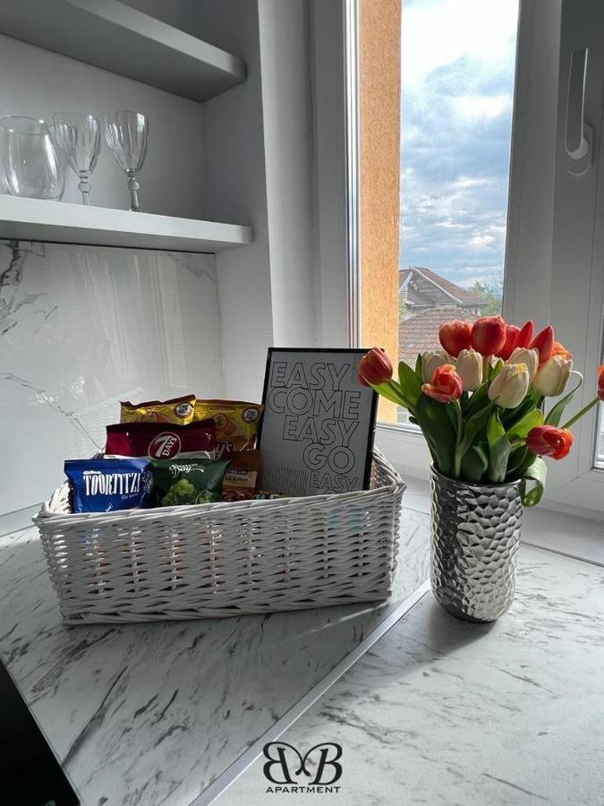 Apartment B&B Apartment Otelu Rosu