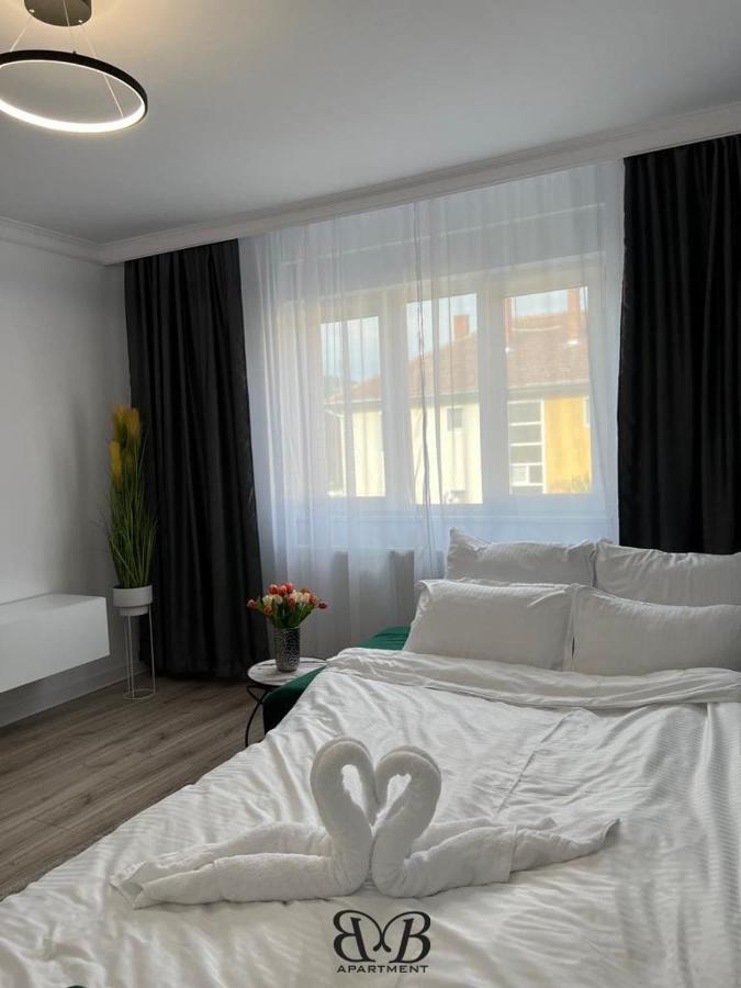 B&B Apartment * Otelu Rosu